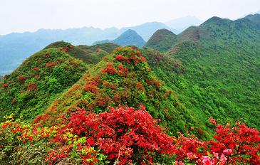 北海到遵義旅游