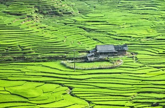 越南旅游-北?？递x旅行社