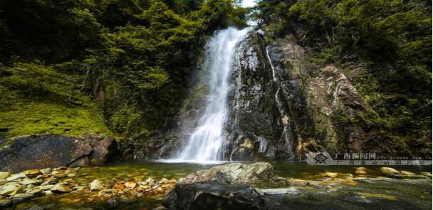 賀州,旅游,姑婆山,國(guó)家,森林公園,