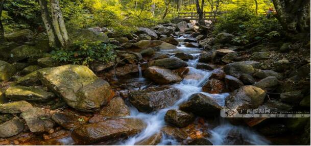 賀州,旅游,姑婆山,國(guó)家,森林公園,