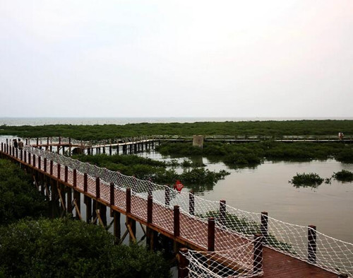 北海旅游,廣西北海旅行社,