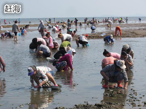 暑假到北海旅游,廣西北海旅行社,