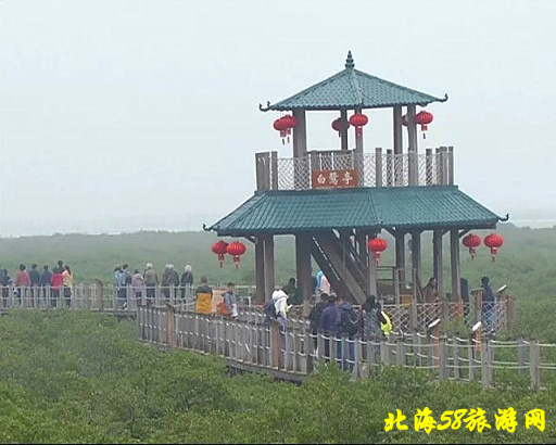 北海紅樹(shù)林優(yōu)惠門票,廣西北海旅行社,