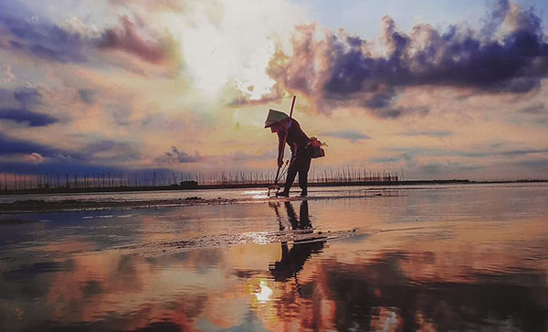 北海紅樹林趕海,廣西北海旅游,