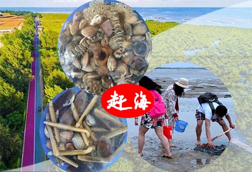 北海旅游景點(diǎn),趕海捕魚,