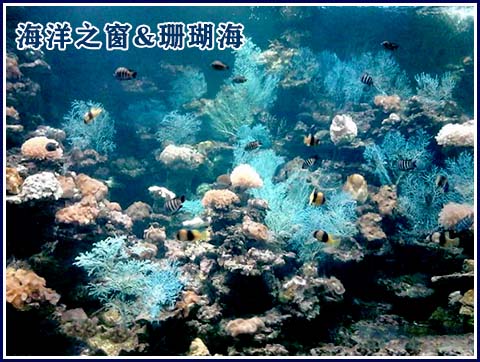 廣西北海旅游,海洋之窗門(mén)票多少錢(qián)