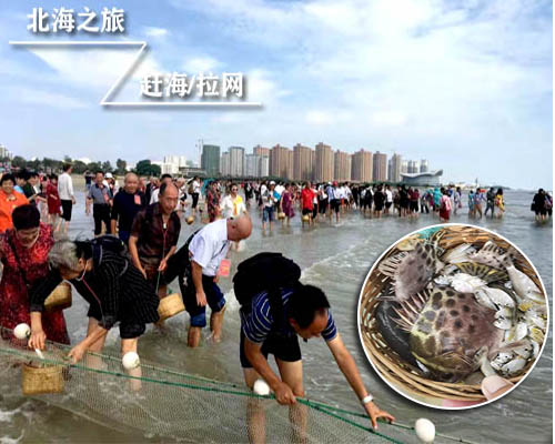 北海珠鄉(xiāng)趕海潮汐時(shí)刻表，廣西北海旅游