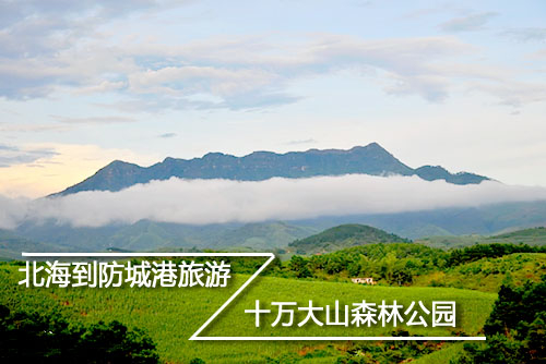 北海到十萬大山旅游,北海旅游