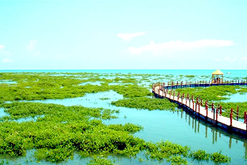 北海紅樹林怎么樣,門票多少錢,北海旅游