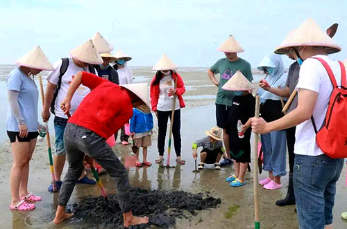 北海趕海幾點去合適